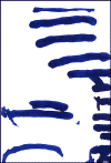hebi_05.gif (42437 �o�C�g)