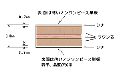 シナベニヤ ９ミリ厚 ラワン芯